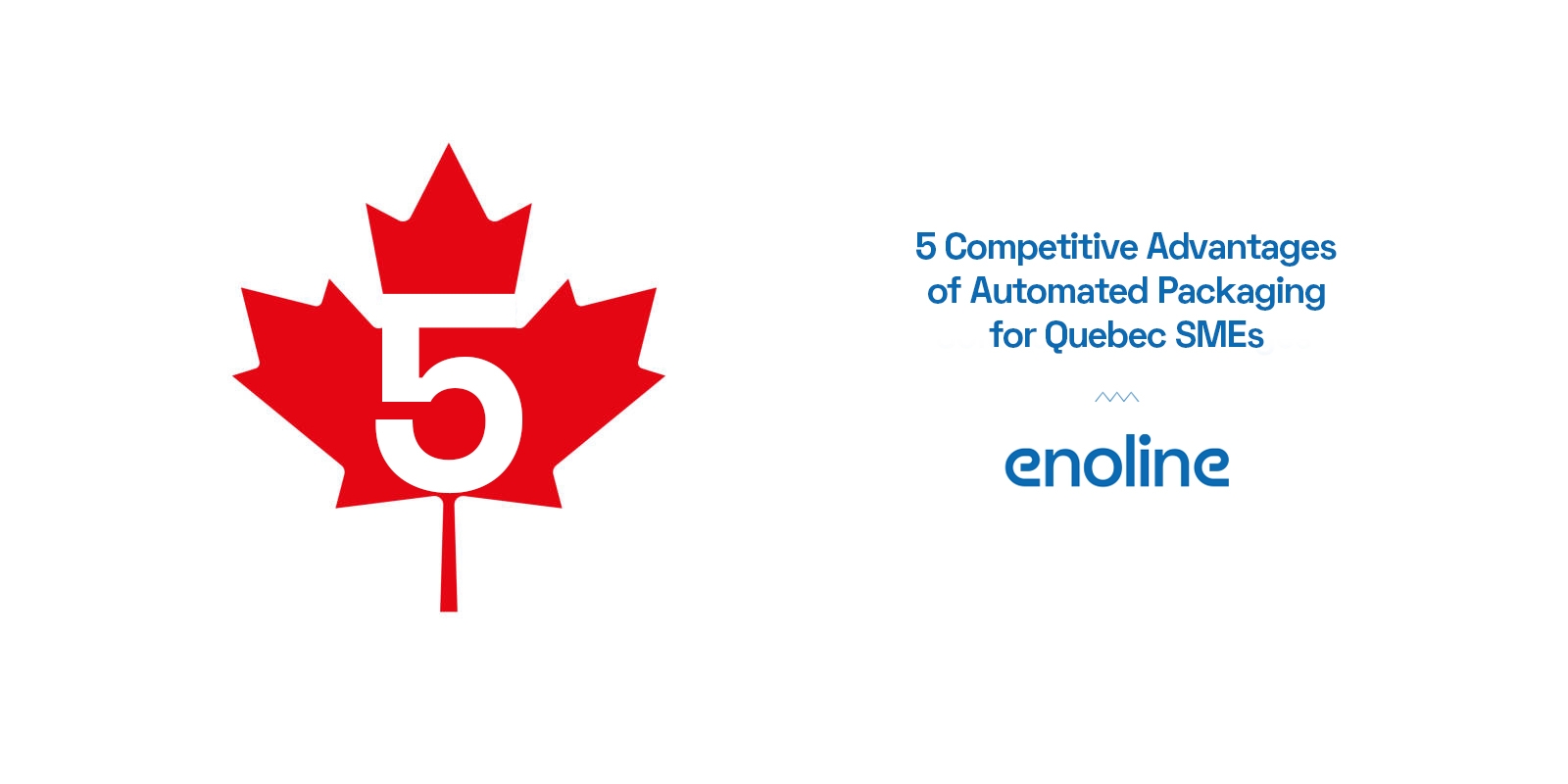 5 Competitive Advantages of Automated Packaging for Quebec SM Es