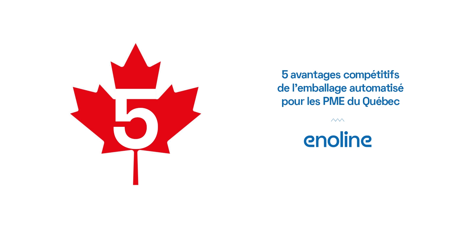 5 avantages compétitifs de lemballage automatisé pour les PME du Québec