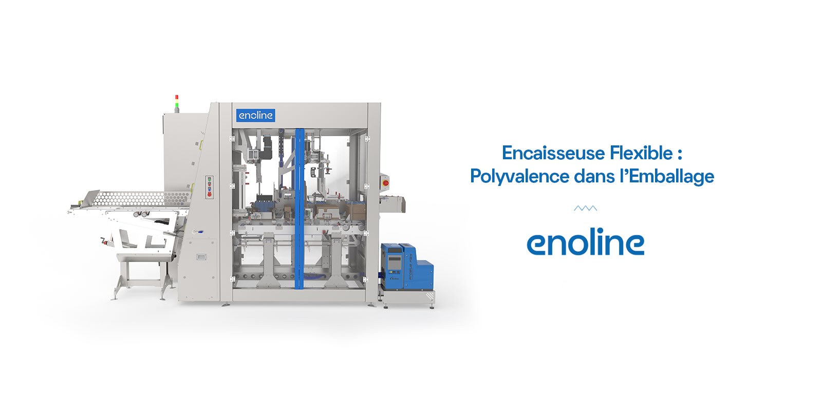 Encaisseuse Flexible Polyvalence dans l Emballage