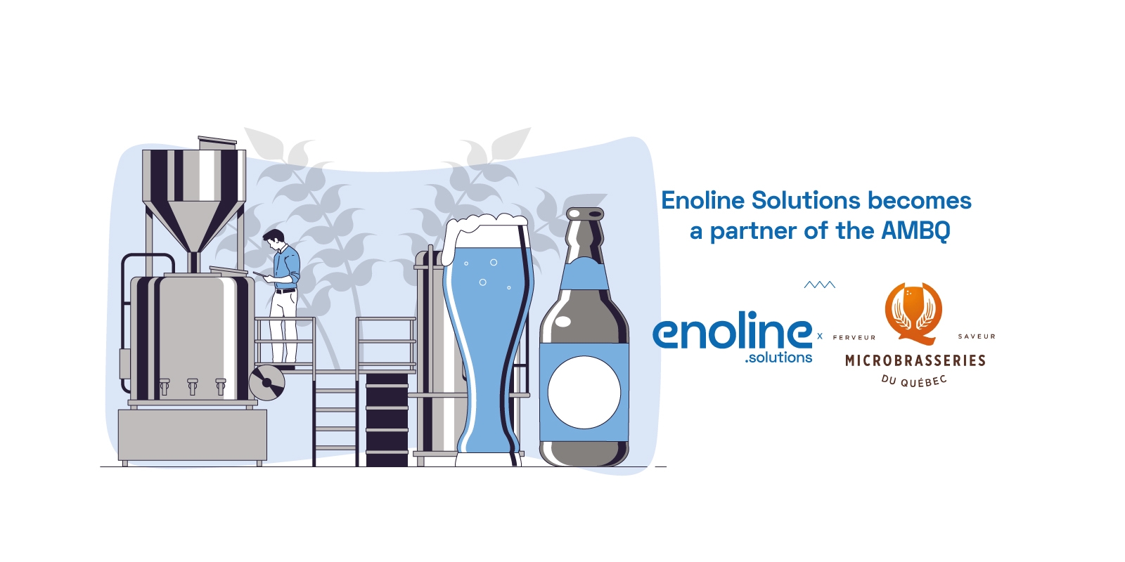 Enoline illustration partners with AMBQ