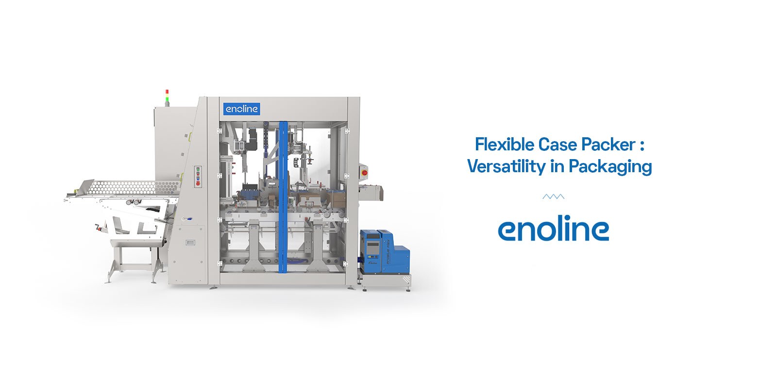 Flexible Case Packer Versatility in Packaging