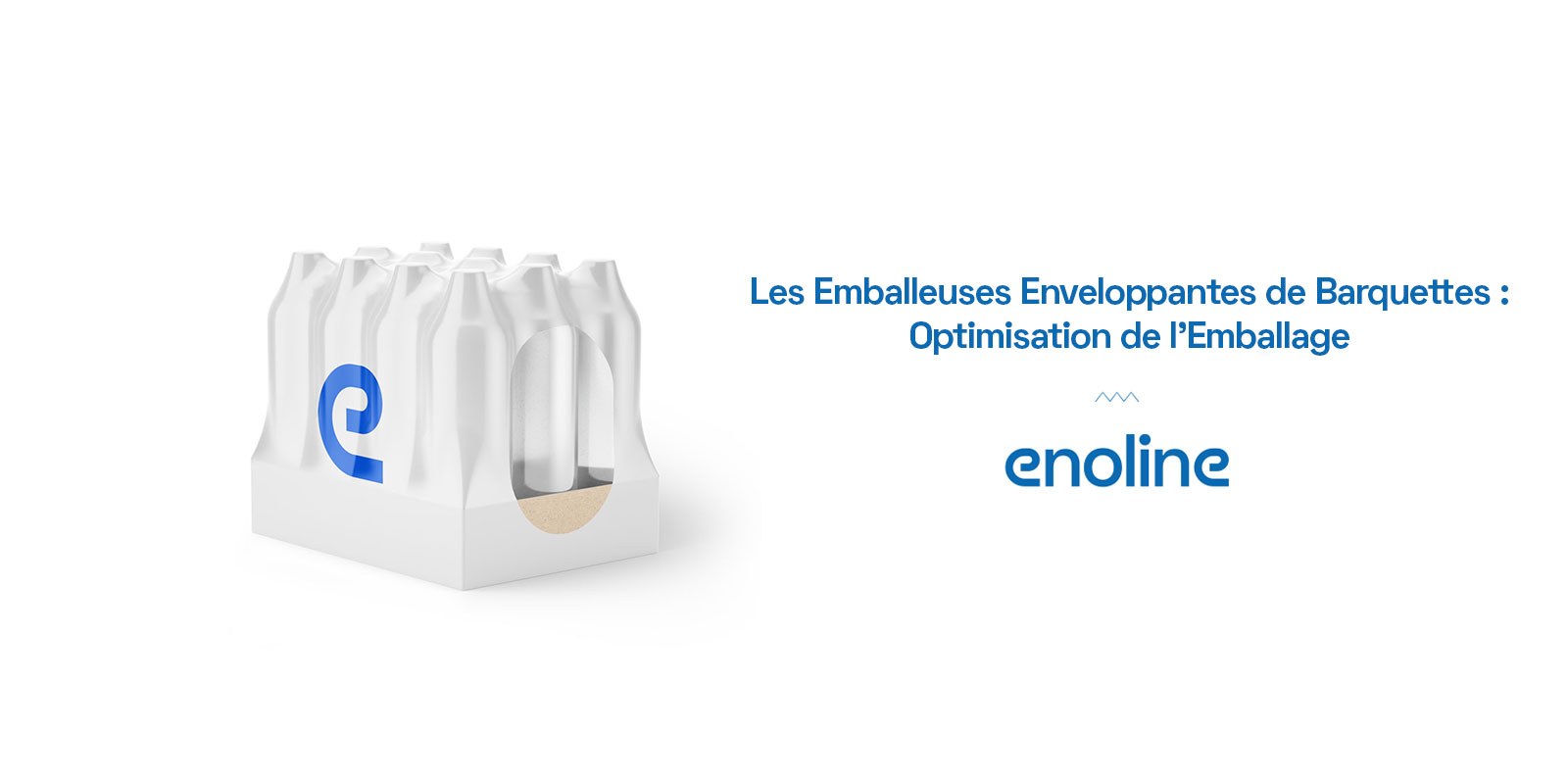 Les Emballeuses Enveloppantes de Barquettes Optimisation de l Emballage