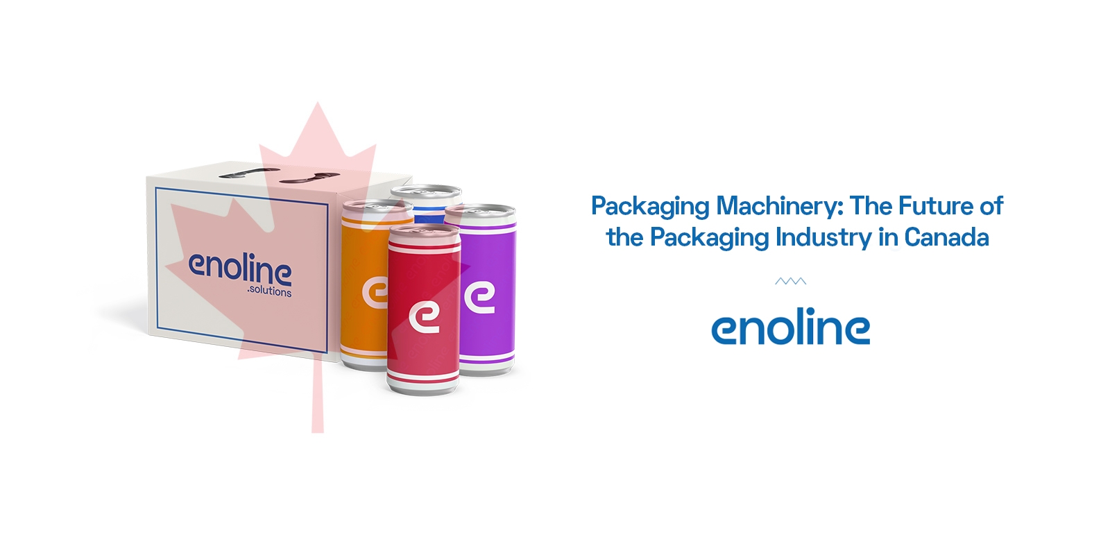Packaging Machinery The Future of the Packaging Industry in Canada