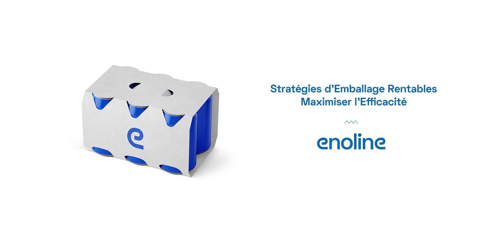 Stratégies d Emballage Rentables Maximiser l Efficacité