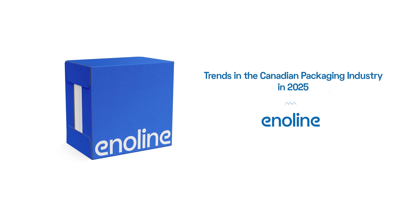 Trends in the Canadian Packaging Industry in 2025